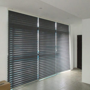 window blinds philippines-Dual Shade-1 (2)