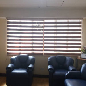 Window blinds philippines-dual shade-vertical blinds (25)